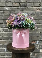 Цветочная композиция из Гипсофила и Розы в шляпной коробке в Петропавловке