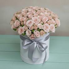 Цветочная композиция из Розы в шляпной коробке #REPLACE_PRED# Петропавловке