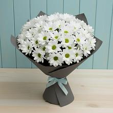 Букет цветов из:  Хризантемы #REPLACE_PRED# Петропавловке