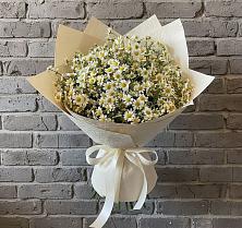 Букет цветов из:  Ромашки в Петропавловке