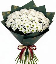 Букет цветов из:  Хризантемы в Петропавловке