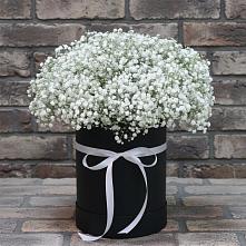Цветочная композиция из Гипсофила в шляпной коробке #REPLACE_PRED# Петропавловке