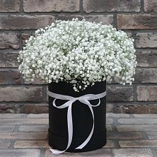 Цветочная композиция из Гипсофила в шляпной коробке в Петропавловке