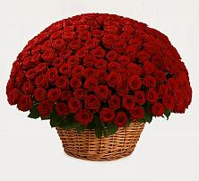 Премиум букет из: Розы #REPLACE_PRED# Петропавловке